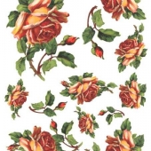 426  Оранжевые розы