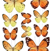 Переводная декупажная карта  Оранжевые бабочки