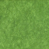 СYSIL66  Зеленый мох