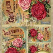 114  Розы на открытках