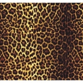 R084  Шкура гепарда