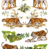 61  Тигры