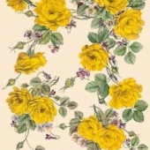 CSOFT 016  Желтые розы