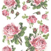 425  Розовые розы