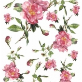 428  Розовые цветы