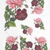 R253  Красные и розовые розы