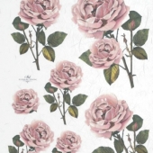 R169  Розовые розы - 1